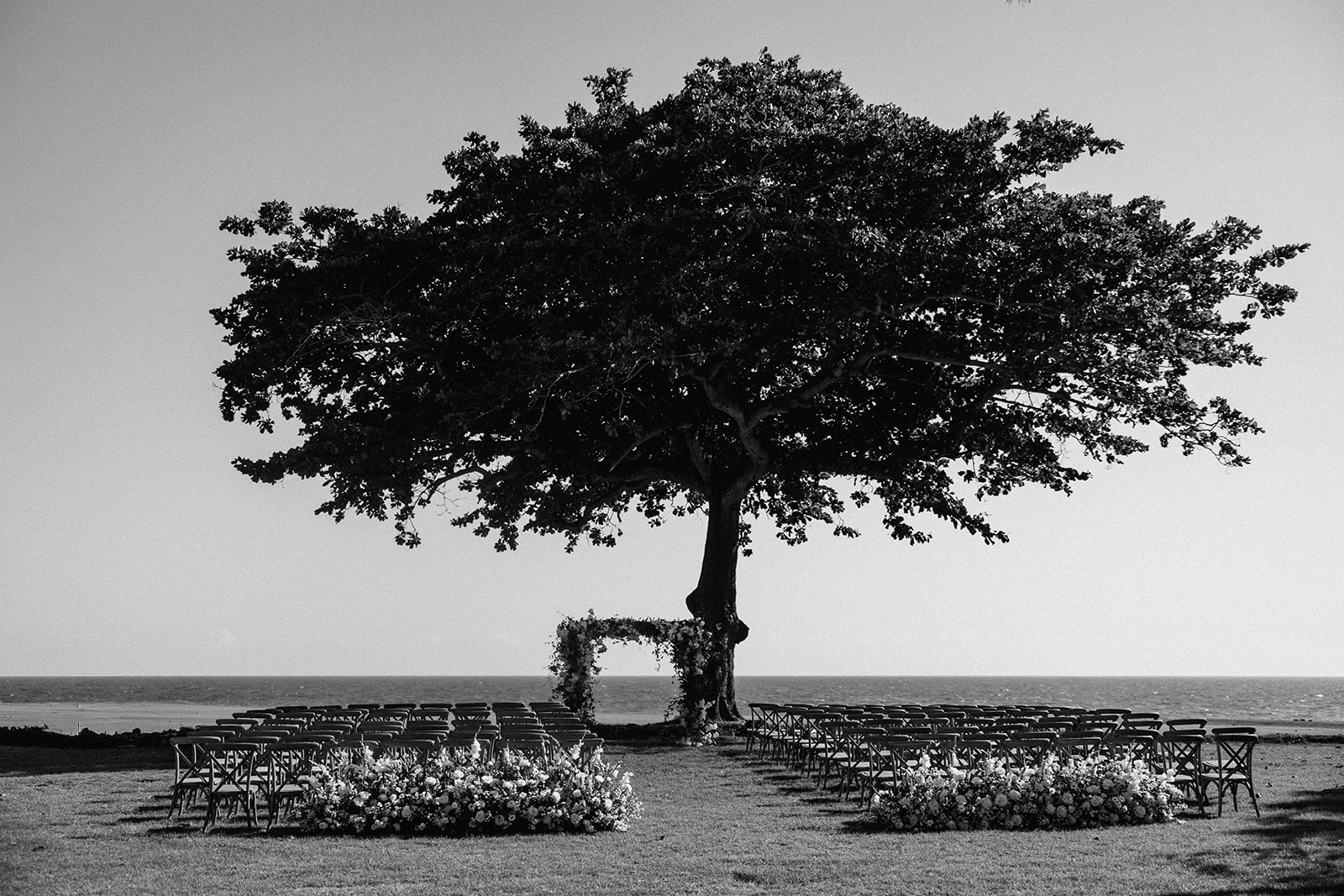 Oceanfront ceremony tree, Lauren & August's Casa de Campo wedding, Dominican Republic